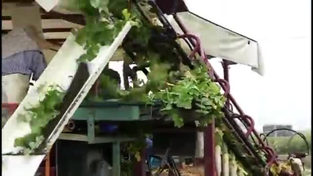 किसानों के लिए यह मशीन देखें कैसे बन गयी इतनी उपयोगी || Amazing Farming Machine Working