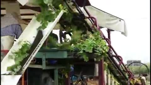 किसानों के लिए यह मशीन देखें कैसे बन गयी इतनी उपयोगी || Amazing Farming Machine Working