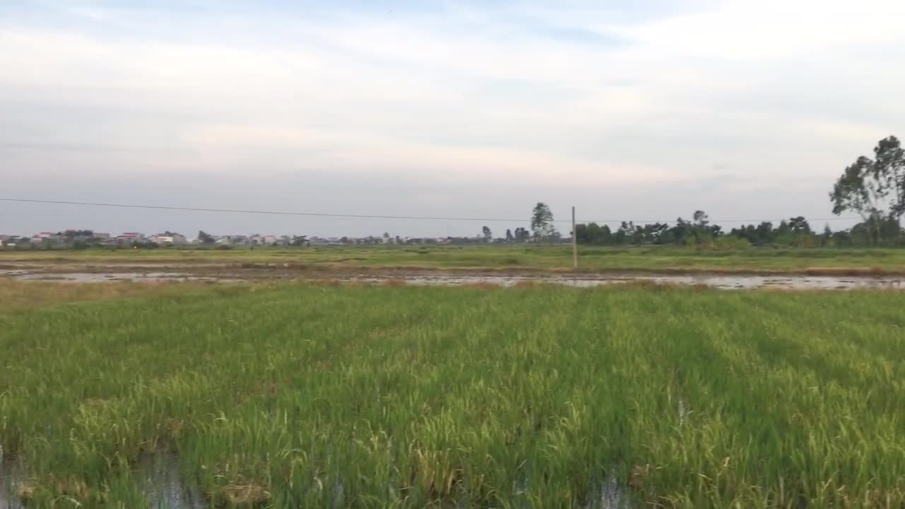 Vietnam homeland in the afternoon at sunset