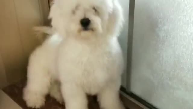 You get over here