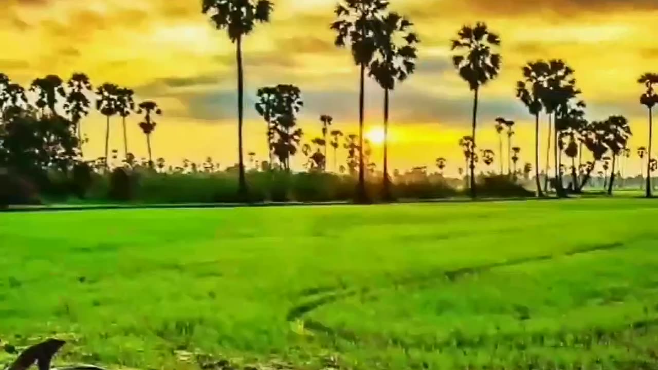 πΎπΎπΎπΎπ
