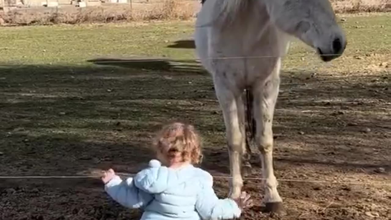 little girl says, "Did you know the rapture and his two witnesses are coming?"