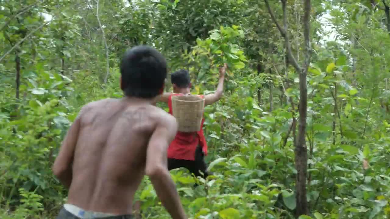 Cooking chicken wing, eating in jungle | Primitive technology-16