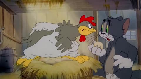 Tom and Jerry - Fine Feathered Friend