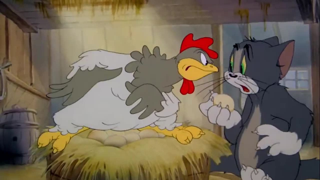 Tom and Jerry - Fine Feathered Friend