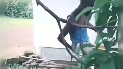 Funny video 30 second