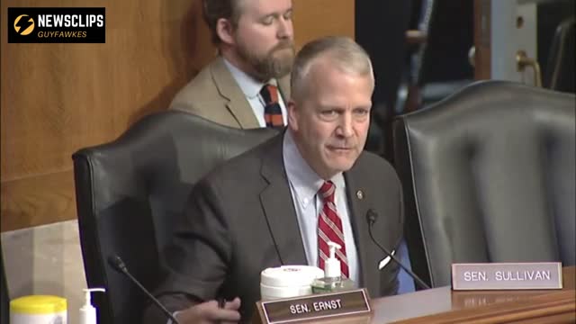 Senator Dan Sullivan Question Witness