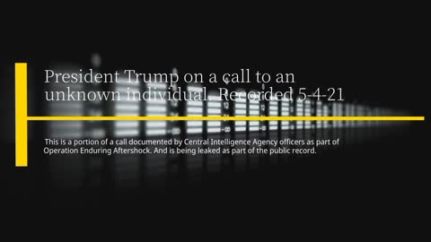 Pres. Trump on Julian Assange (May 4, 2020)