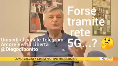 Dott. Montanari: Calamite, mistero risolto?