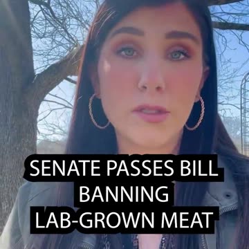 States Are Trying to Ban Lab-Grown Meat But They're Hitting Roadblocks