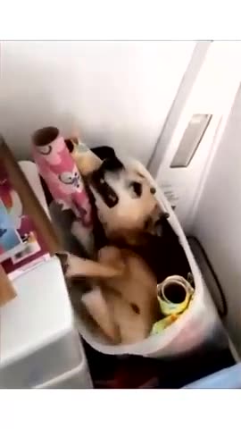 420's CLIP OF THE DAY September 2, 2024