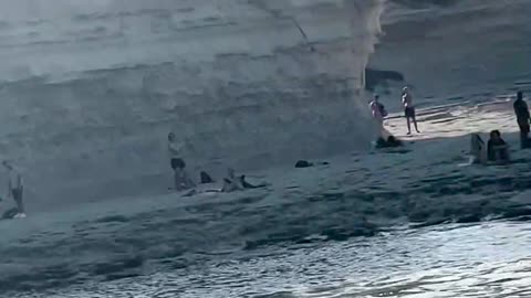 Tour Guide Jumps Into Water to Catch a Tuna Fish