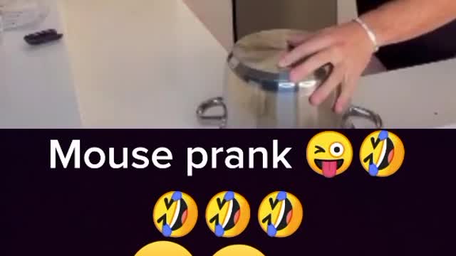 Mouse 🐀 🐁 prank with gf