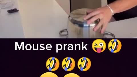 Mouse 🐀 🐁 prank with gf