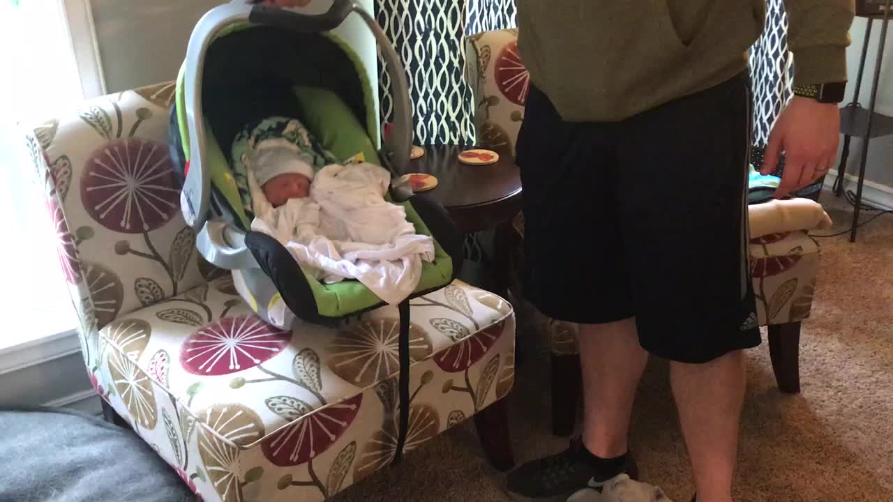 Dogs Meet Newborn Baby For The First Time