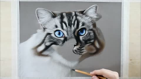 Drawing realistic pictures of cats | Animal Art - Time Lapse Pastel Color Pen