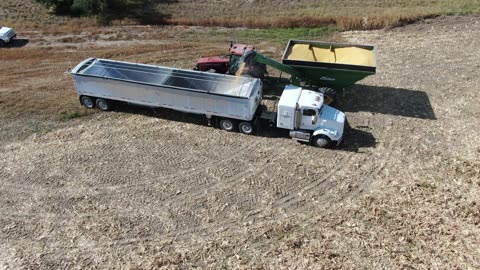 Another grain cart emptying into semi