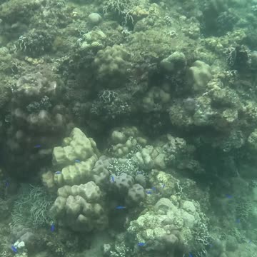 Perfect Day for a Snorkeling Adventure!