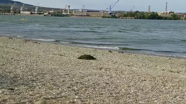 Kladovo Waves