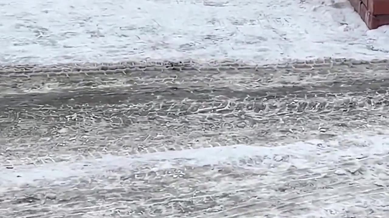 This is a unique video of sweet pet.