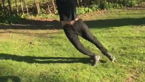 Black shirt sunglasses guy hangs on tree branch breaks it into his head