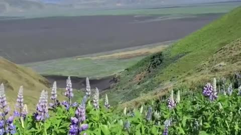 Ashi Travels | Wonder Of Nature | #shorts