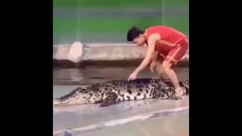 Crocodile：don't make trouble, itchy