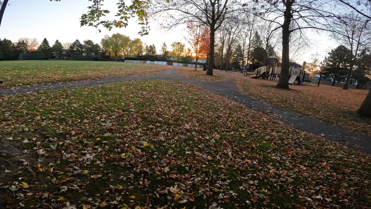 🗑️ Giving Back @ Huntsman Park In Ottawa 🍁 Canada 🍎