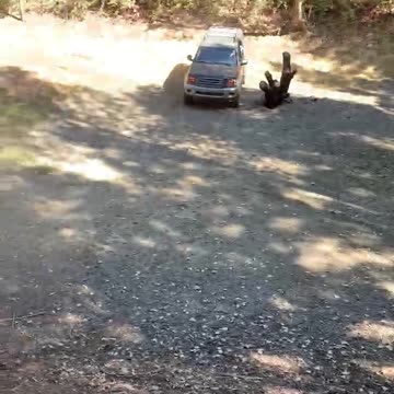 Round one- escape from the pond