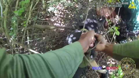 K-9 Apprehends Escaped Inmate Hiding in Woods