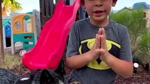 A Prayer for All Dogs