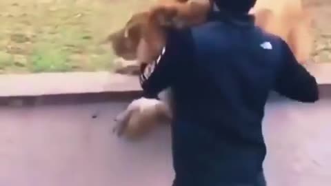Cute and adorable animal behavior makes anyone happy to see it