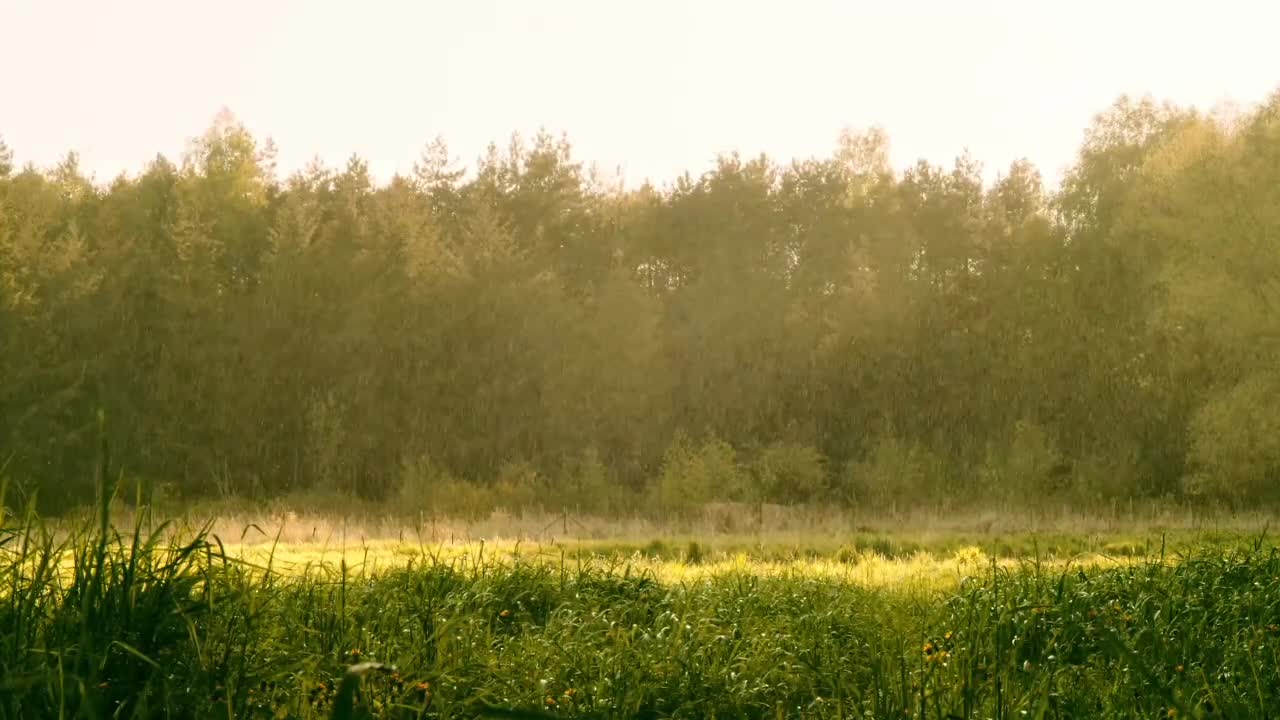 The Sound of Rain For Deep Sleep and Relaxation