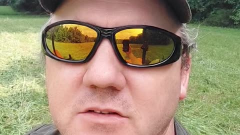 Losing an ancient oak.