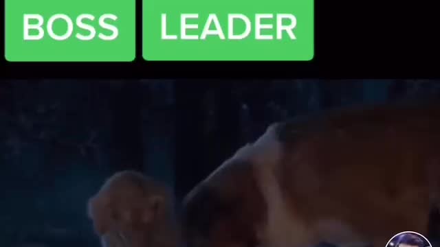 Have we ever had a chance to work with somebody who acted like a leader and not like a boss