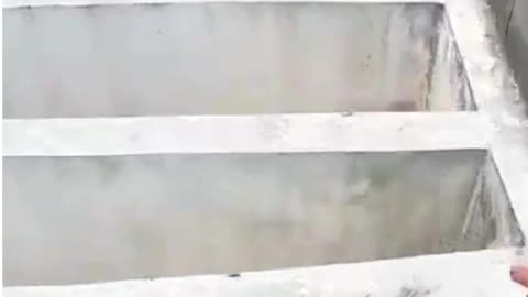 Insane Parkour Skills! Epic Freerunning, Jumping and Running Tricks!