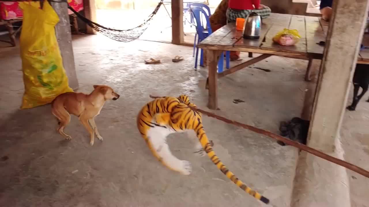 Wow dog prank!!Nice fake tiger prank dig!! Prank dogs run very funny Try To Not Laugh Challenge