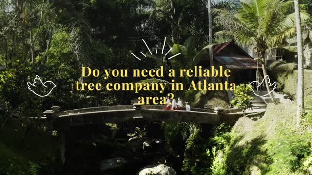 Tree Removal Service