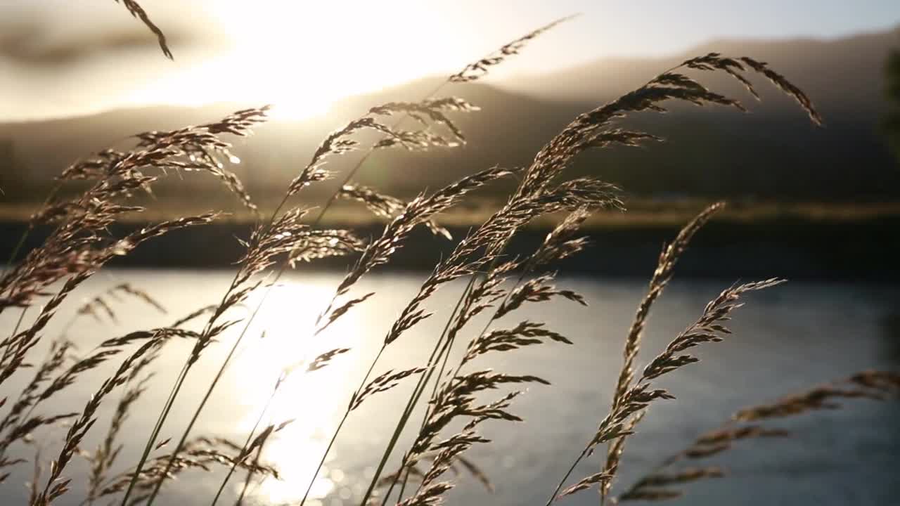 Calm Relaxation Music- Deep Sleep (Meditating, Working, Studying, Relaxing)