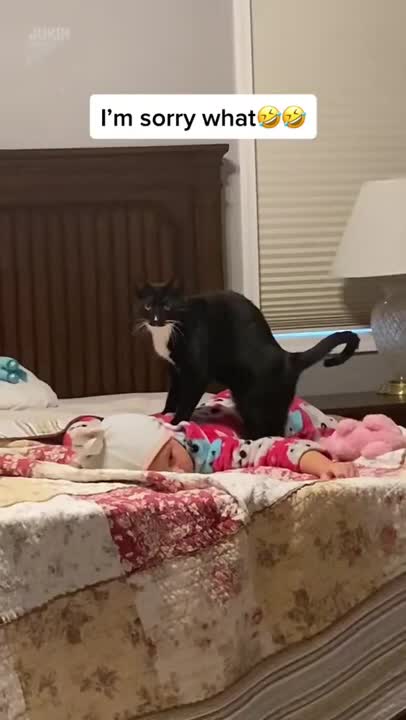 When You Don't Have Money For SPA But You Have A Cat Instead!