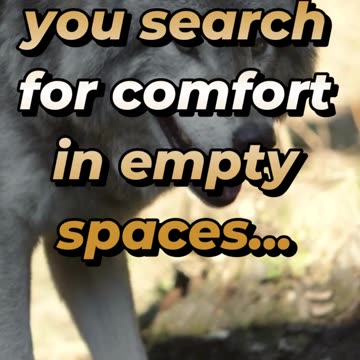 When you search for comfort in empty spaces...