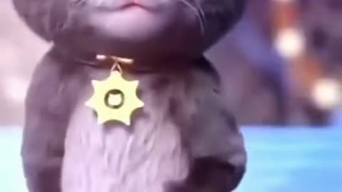 Cat funny video 😂📸