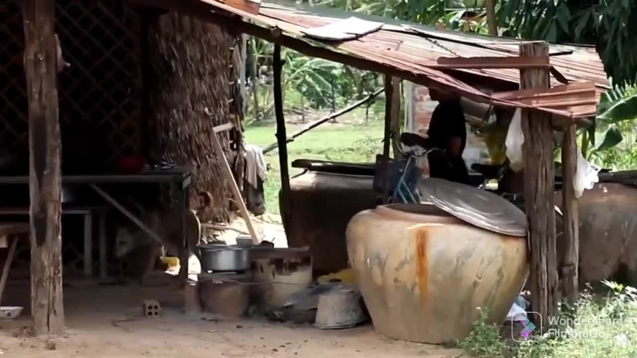 Funny dog vidies & dog lover