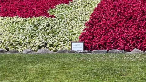 Crossing US-Canada border without Passport & VISA..