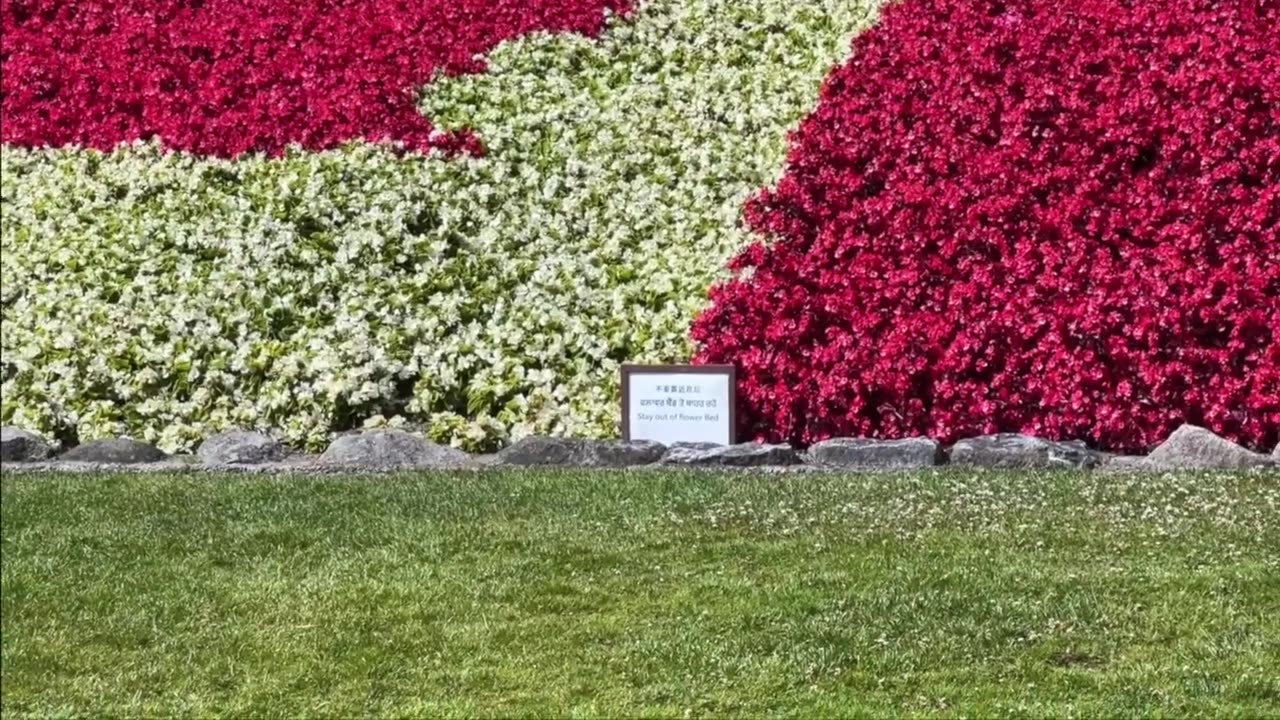 Crossing US-Canada border without Passport & VISA..