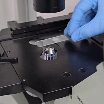 TURMERIC VS HUMAN PARASITES👇👇