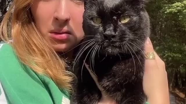 ANGRY CAT AND DOCILE CAT