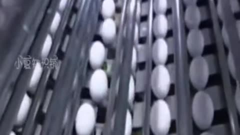 Cuidado podrías estar como.do huevos sintéticos
