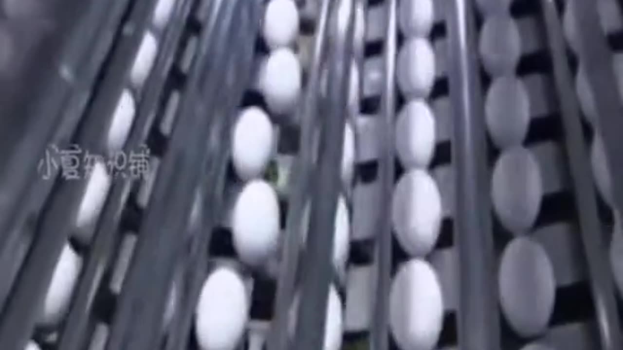 Cuidado podrías estar como.do huevos sintéticos