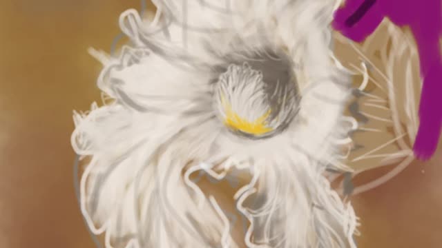 Sutera flower